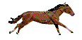 galopperend paard